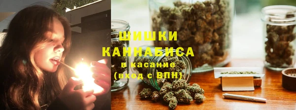 гидропоника Гусь-Хрустальный