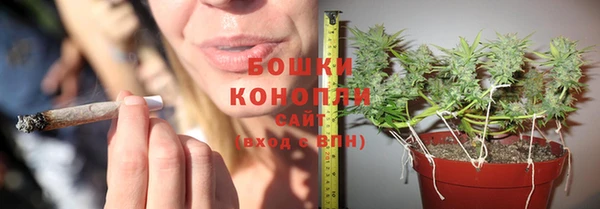 гидропоника Гусь-Хрустальный